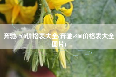 奔驰e200价格表大全(奔驰e200价格表大全图片)
