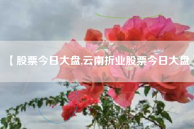 【股票今日大盘,云南折业股票今日大盘】