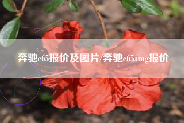 奔驰c65报价及图片/奔驰c65amg报价