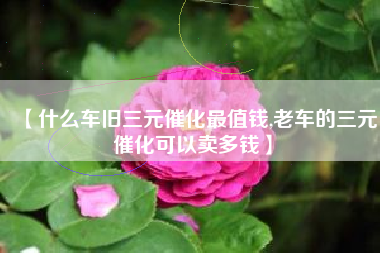 【什么车旧三元催化最值钱,老车的三元催化可以卖多钱】