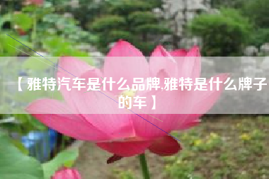 【雅特汽车是什么品牌,雅特是什么牌子的车】