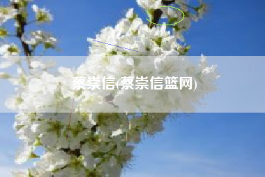 蔡崇信(蔡崇信篮网)