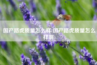 国产路虎质量怎么样(国产路虎质量怎么样啊)