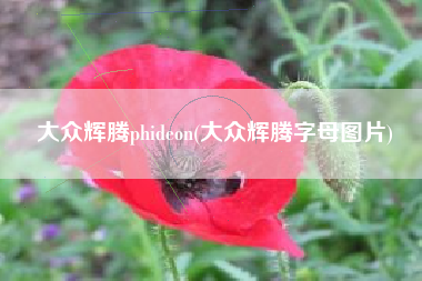 大众辉腾phideon(大众辉腾字母图片)