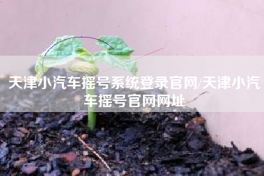 天津小汽车摇号系统登录官网/天津小汽车摇号官网网址