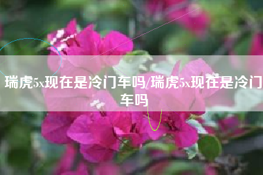 瑞虎5x现在是冷门车吗/瑞虎5x现在是冷门车吗