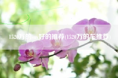 1520万的suv好的推荐(1520万的车推荐)