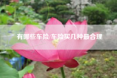 有哪些车险/车险买几种最合理
