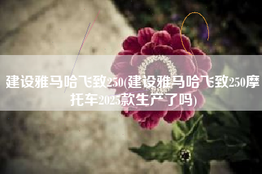 建设雅马哈飞致250(建设雅马哈飞致250摩托车2025款生产了吗)