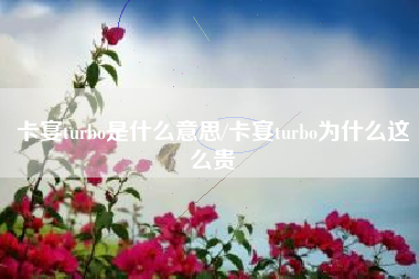 卡宴turbo是什么意思/卡宴turbo为什么这么贵