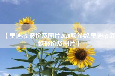 【奥迪q5l报价及图片2020款参数,奥迪q5l新款报价及图片】 【奥迪q5l报价及图片2020款参数,奥迪q5l新款报价及图片】