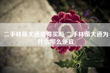 二手林荫大道值得买吗/二手林荫大道为什么那么便宜 二手林荫大道值得买吗/二手林荫大道为什么那么便宜