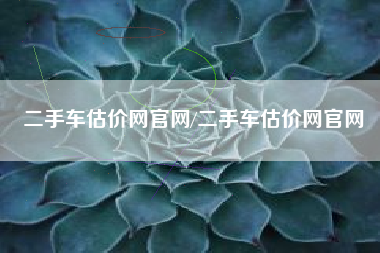 二手车估价网官网/二手车估价网官网