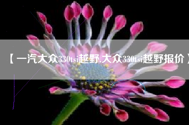【一汽大众330tsi越野,大众330tsi越野报价】
