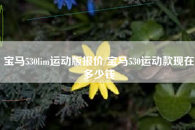 宝马530lim运动版报价/宝马530运动款现在多少钱