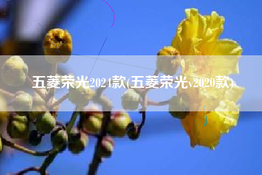 五菱荣光2024款(五菱荣光v2020款)