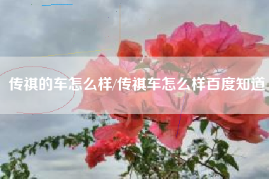 传祺的车怎么样/传祺车怎么样百度知道