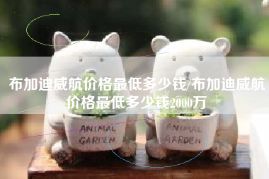 布加迪威航价格最低多少钱/布加迪威航价格最低多少钱2000万