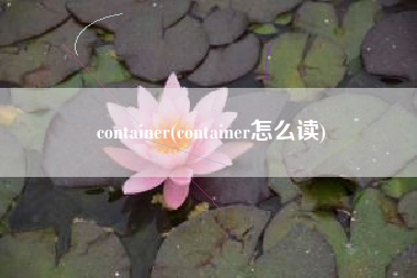 container(container怎么读)