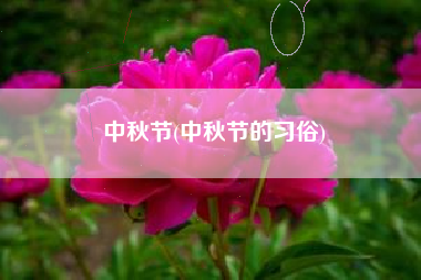 中秋节(中秋节的习俗)