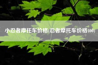 小忍者摩托车价格(忍者摩托车价格400)
