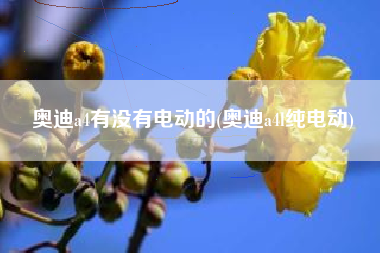 奥迪a4有没有电动的(奥迪a4l纯电动)