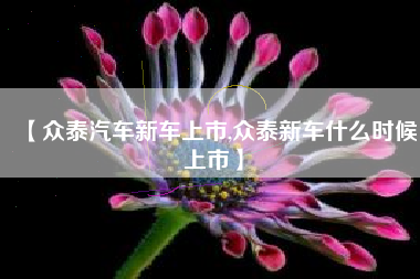 【众泰汽车新车上市,众泰新车什么时候上市】