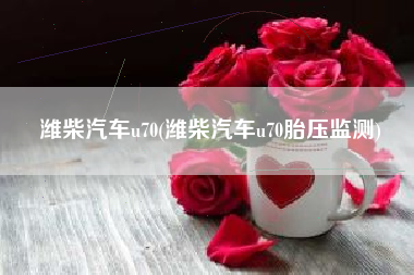 潍柴汽车u70(潍柴汽车u70胎压监测)