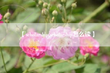 【scholarship,scholarship怎么读】