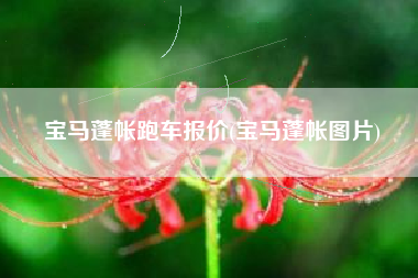 宝马蓬帐跑车报价(宝马蓬帐图片)