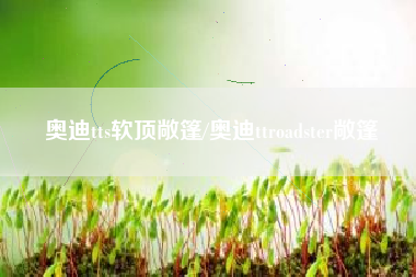 奥迪tts软顶敞篷/奥迪ttroadster敞篷