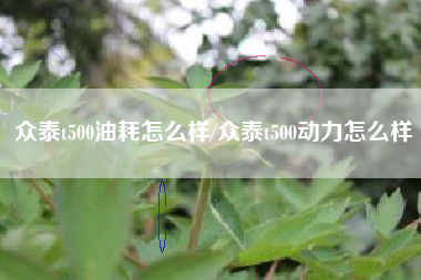 众泰t500油耗怎么样/众泰t500动力怎么样