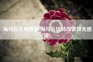 海马丘比特改装(海马丘比特改装双光透镜)