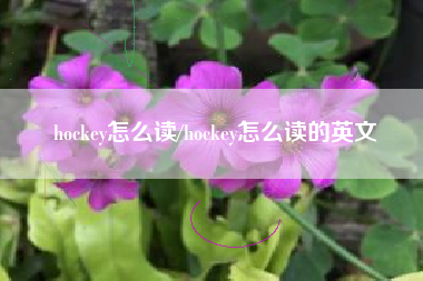 hockey怎么读/hockey怎么读的英文 hockey怎么读/hockey怎么读的英文