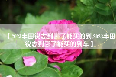 【2023丰田锐志到哪了能买的到,2023丰田锐志到哪了能买的到车】