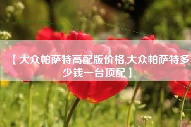 【大众帕萨特高配版价格,大众帕萨特多少钱一台顶配】