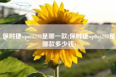 保时捷wpoca298是哪一款(保时捷wp0aa298是哪款多少钱)