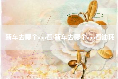 新车去哪个app看/新车去哪个app看油耗