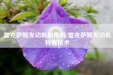 雷克萨斯发动机耐用吗/雷克萨斯发动机特有技术