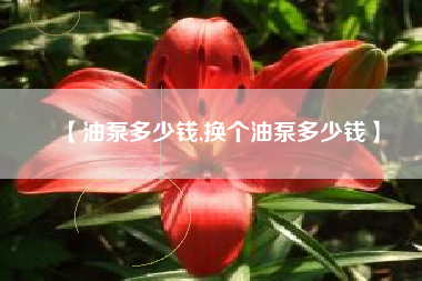 【油泵多少钱,换个油泵多少钱】