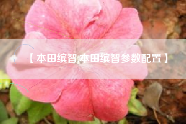 【本田缤智,本田缤智参数配置】