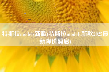 特斯拉modely新款(特斯拉modely新款2025最新降价消息)