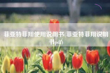 菲亚特菲翔使用说明书(菲亚特菲翔说明书pdf)