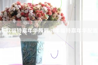 12款福特嘉年华两厢(12年福特嘉年华配置)