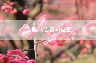 吉奥suv/吉奥suV自重