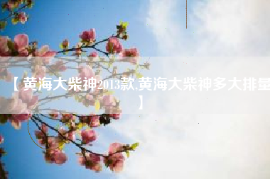 【黄海大柴神2013款,黄海大柴神多大排量】