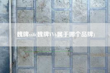 魏牌vv6(魏牌VV6属于哪个品牌)