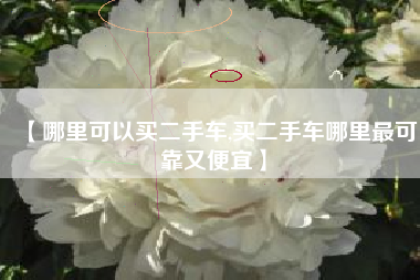 【哪里可以买二手车,买二手车哪里最可靠又便宜】