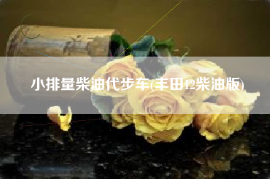 小排量柴油代步车(丰田12柴油版)