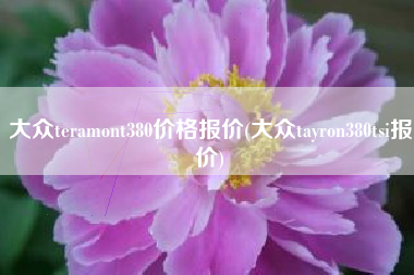 大众teramont380价格报价(大众tayron380tsi报价) 大众teramont380价格报价(大众tayron380tsi报价)